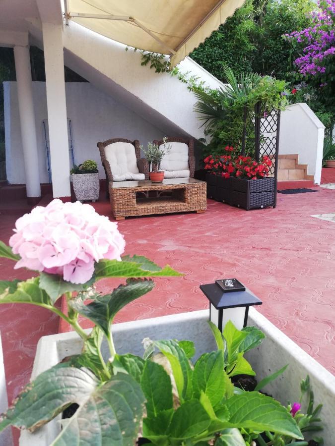 Apartments Poretti For 2,In Center Parking Free In The Yard,6 Min Beach Walk Ровінь Екстер'єр фото