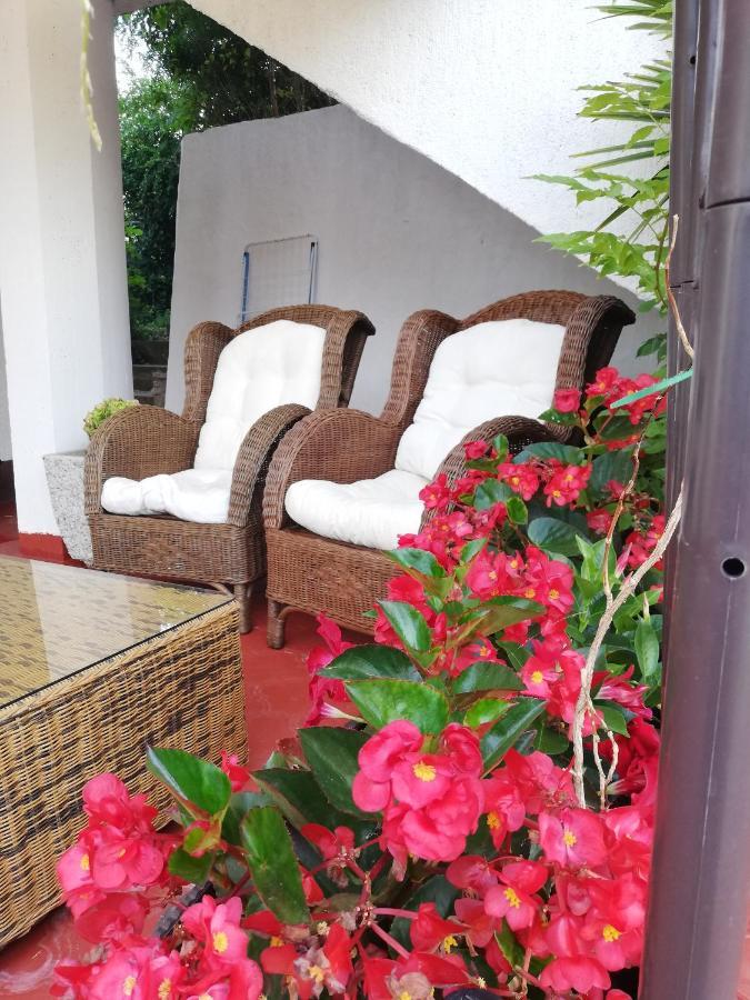 Apartments Poretti For 2,In Center Parking Free In The Yard,6 Min Beach Walk Ровінь Екстер'єр фото