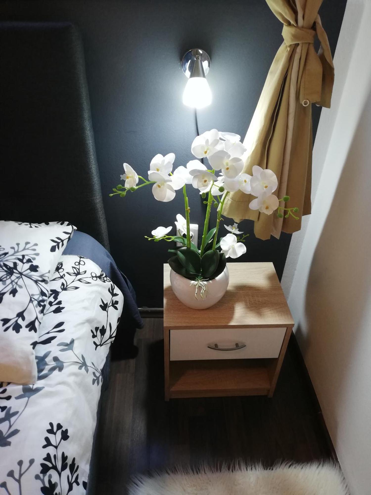 Apartments Poretti For 2,In Center Parking Free In The Yard,6 Min Beach Walk Ровінь Екстер'єр фото