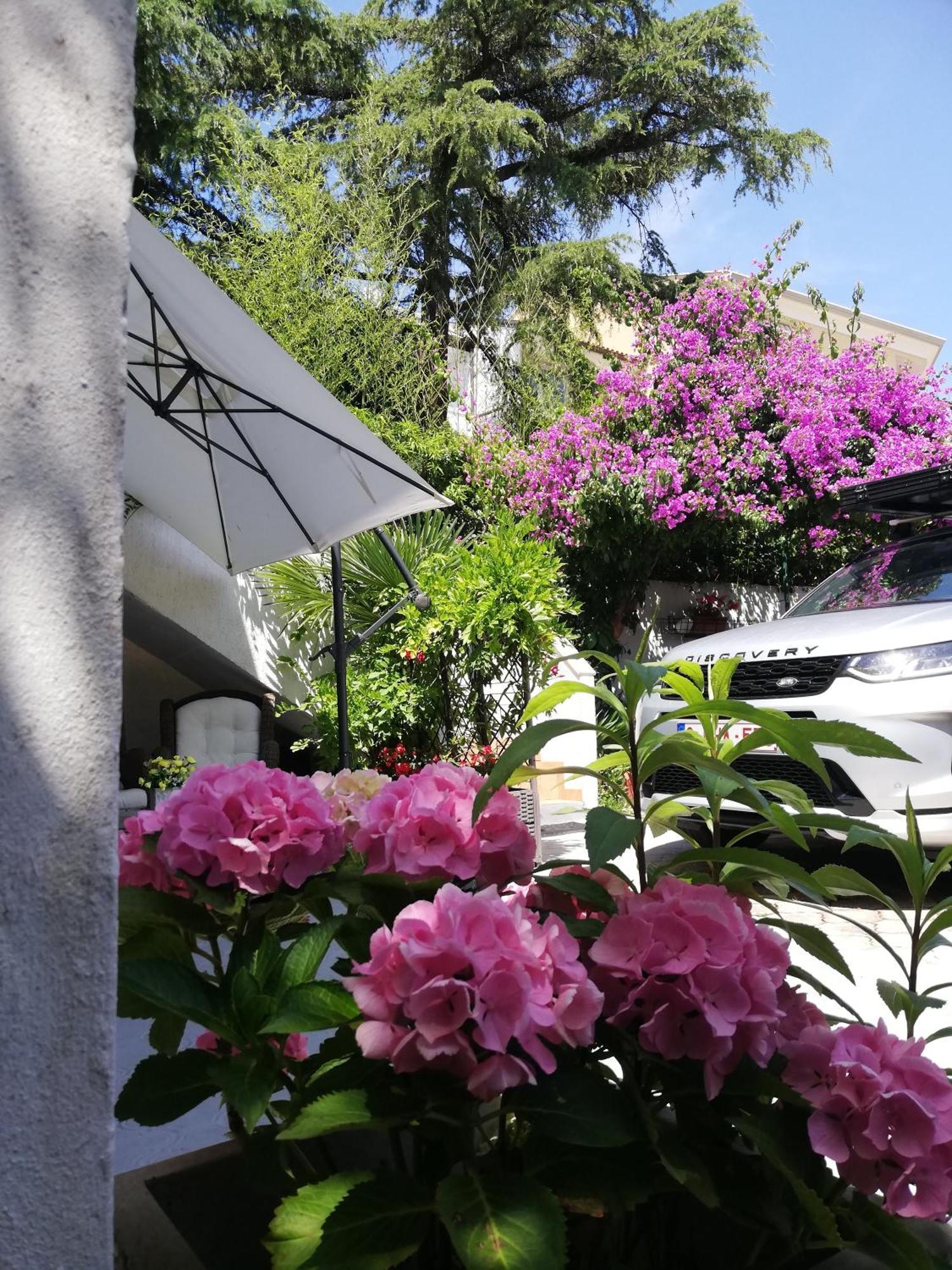 Apartments Poretti For 2,In Center Parking Free In The Yard,6 Min Beach Walk Ровінь Екстер'єр фото